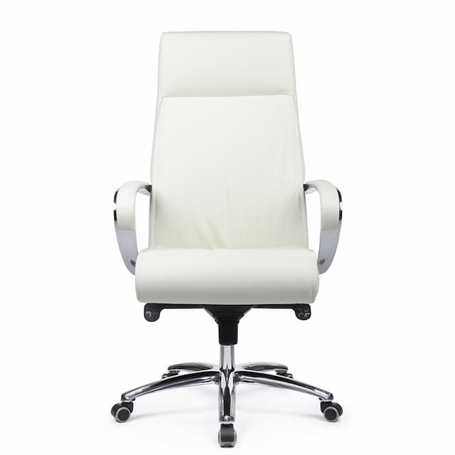 Кресло RV DESIGN Gaston 9164 Белый (1A 6207) натуральная кожа